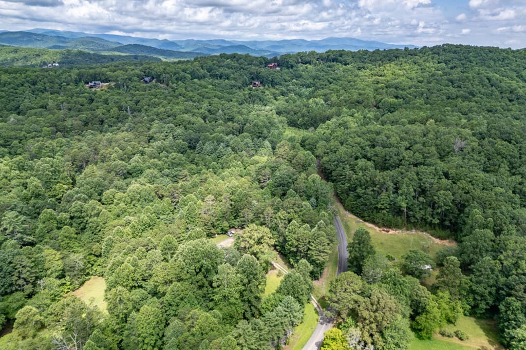 411 Piney Acres Road, Blue Ridge GA 30513 - Photo
