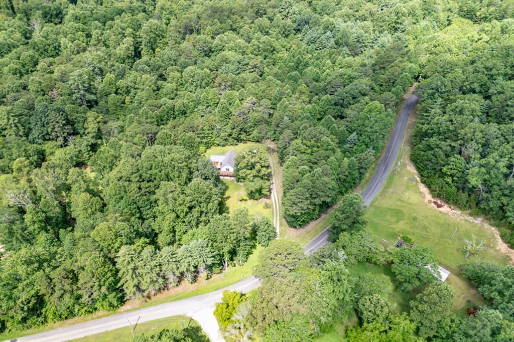 411 Piney Acres Road, Blue Ridge GA 30513 - Photo