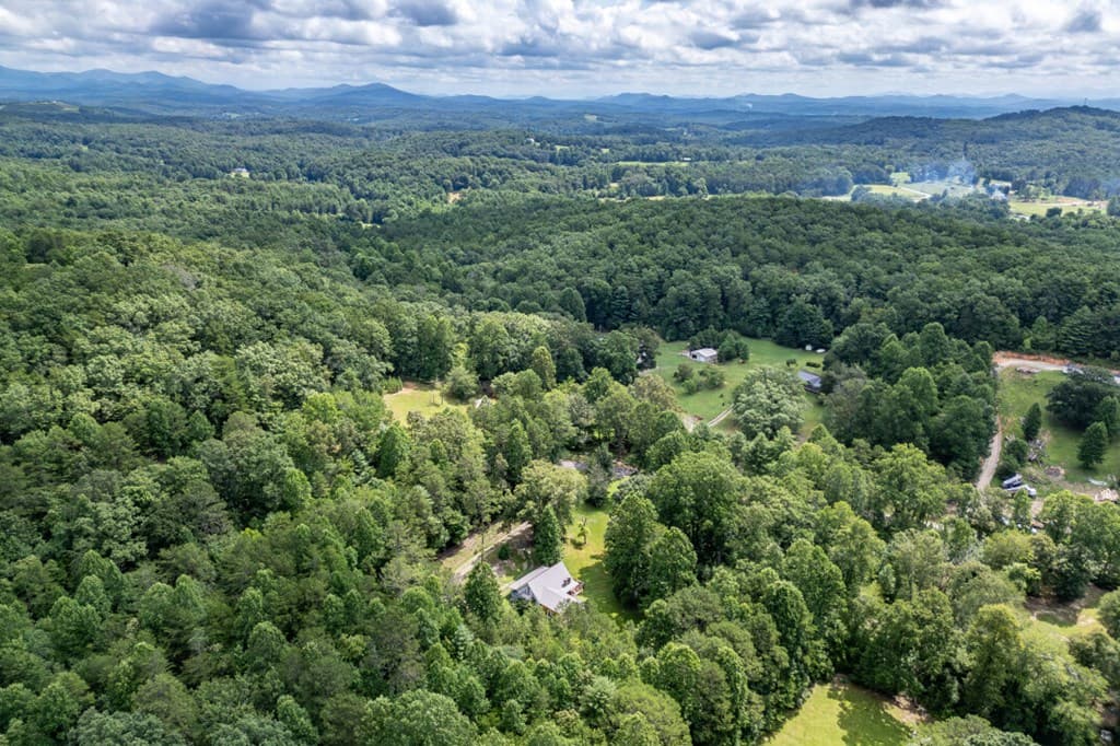 411 Piney Acres Road, Blue Ridge GA 30513 - Photo