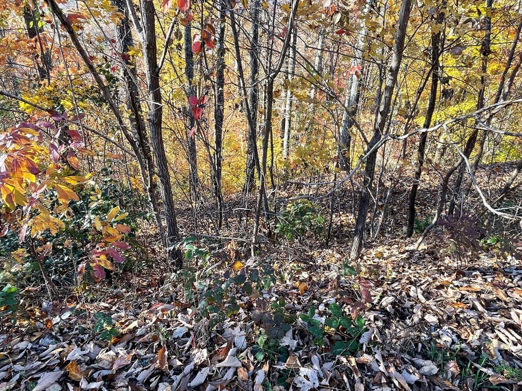 Lot 37M Ridges Overlook, Hayesville NC 28904 - Photo