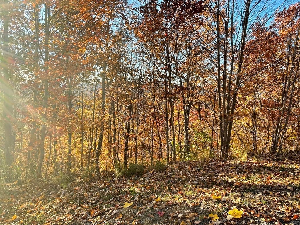 Lot 58M Ridges Overlook, Hayesville NC 28904 - Photo