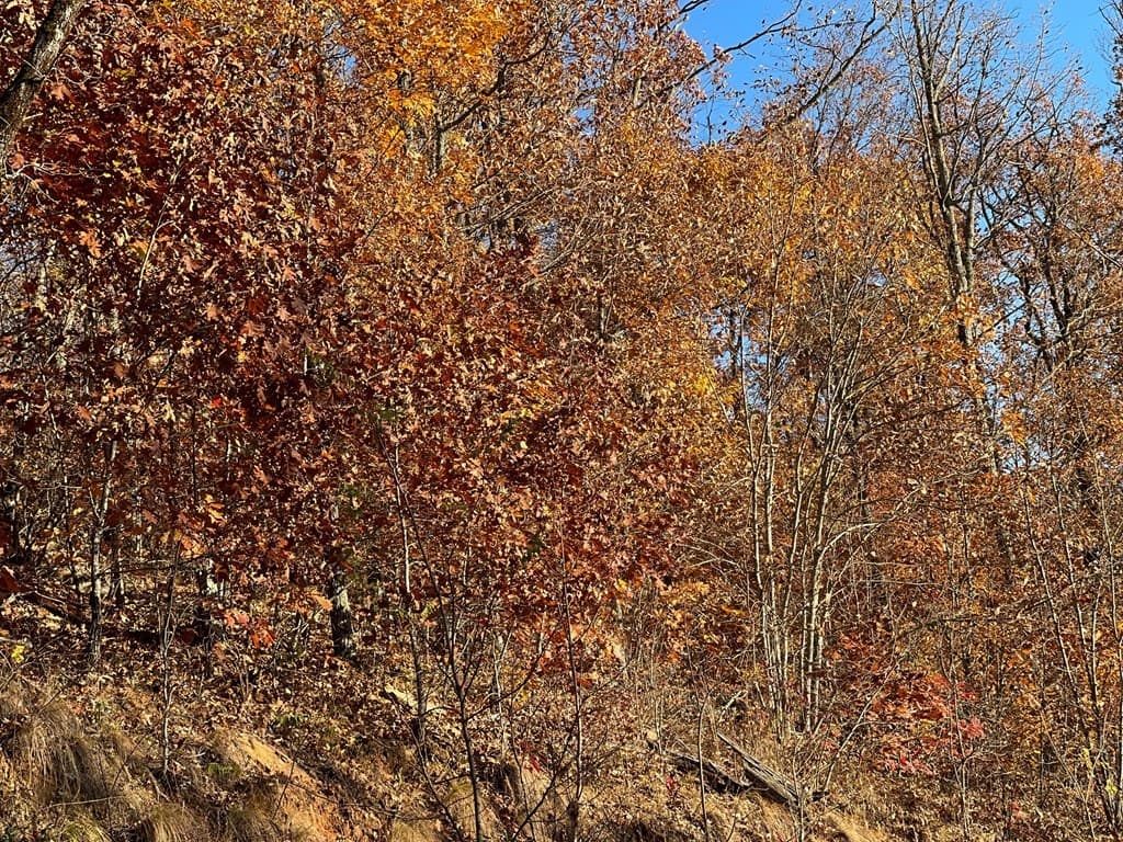 Lot 58M Ridges Overlook, Hayesville NC 28904 - Photo
