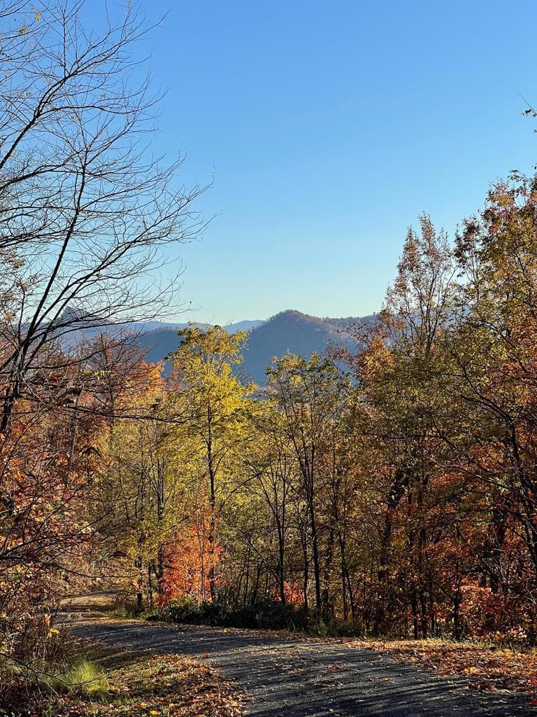 Lot 58M Ridges Overlook, Hayesville NC 28904 - Primary photo