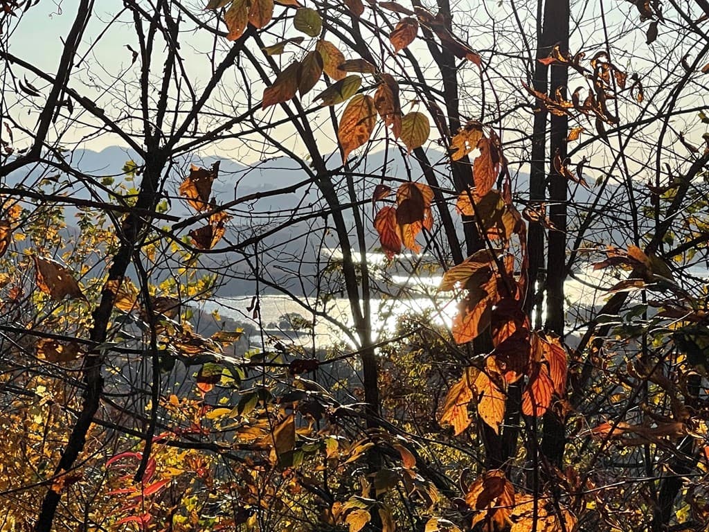 Lot 58M Ridges Overlook, Hayesville NC 28904 - Photo