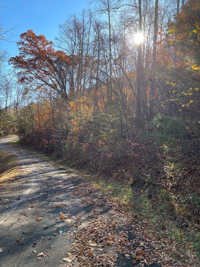 36 54C Ash Branch Circle, Hayesville NC 28904 - Photo
