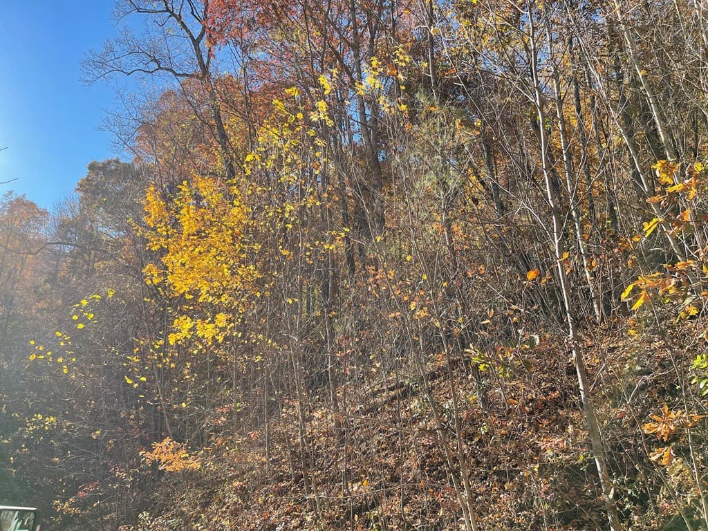 36 54C Ash Branch Circle, Hayesville NC 28904 - Photo