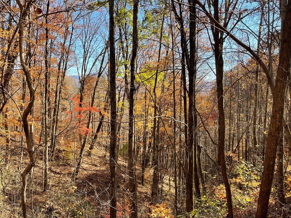 36 54C Ash Branch Circle, Hayesville NC 28904 - Photo