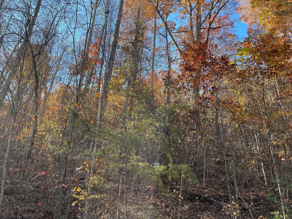 36 54C Ash Branch Circle, Hayesville NC 28904 - Photo
