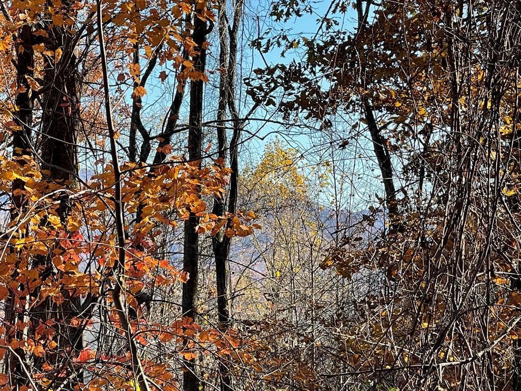 36 54C Ash Branch Circle, Hayesville NC 28904 - Primary photo
