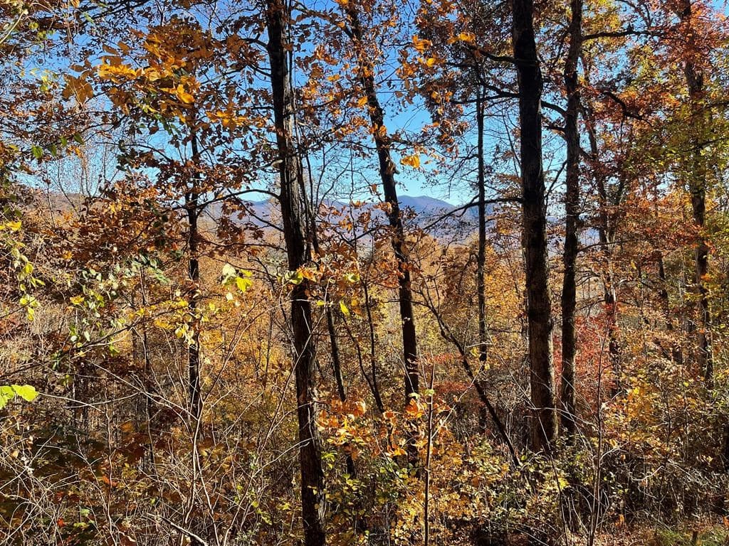 36 54C Ash Branch Circle, Hayesville NC 28904 - Photo