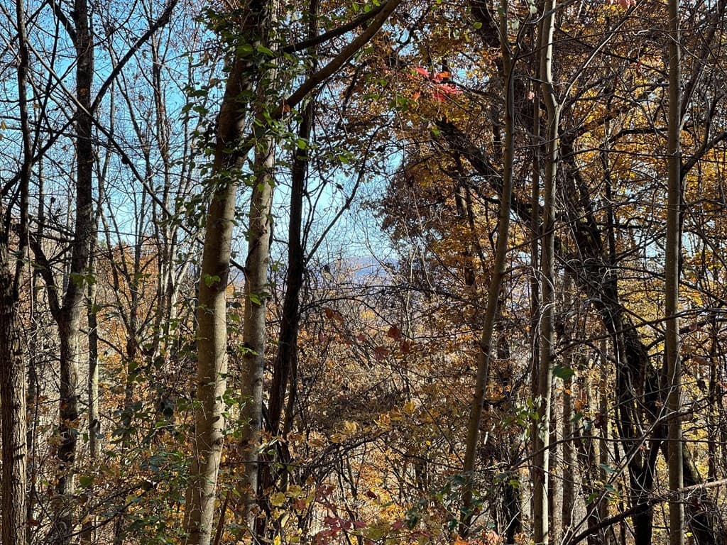 36 54C Ash Branch Circle, Hayesville NC 28904 - Photo