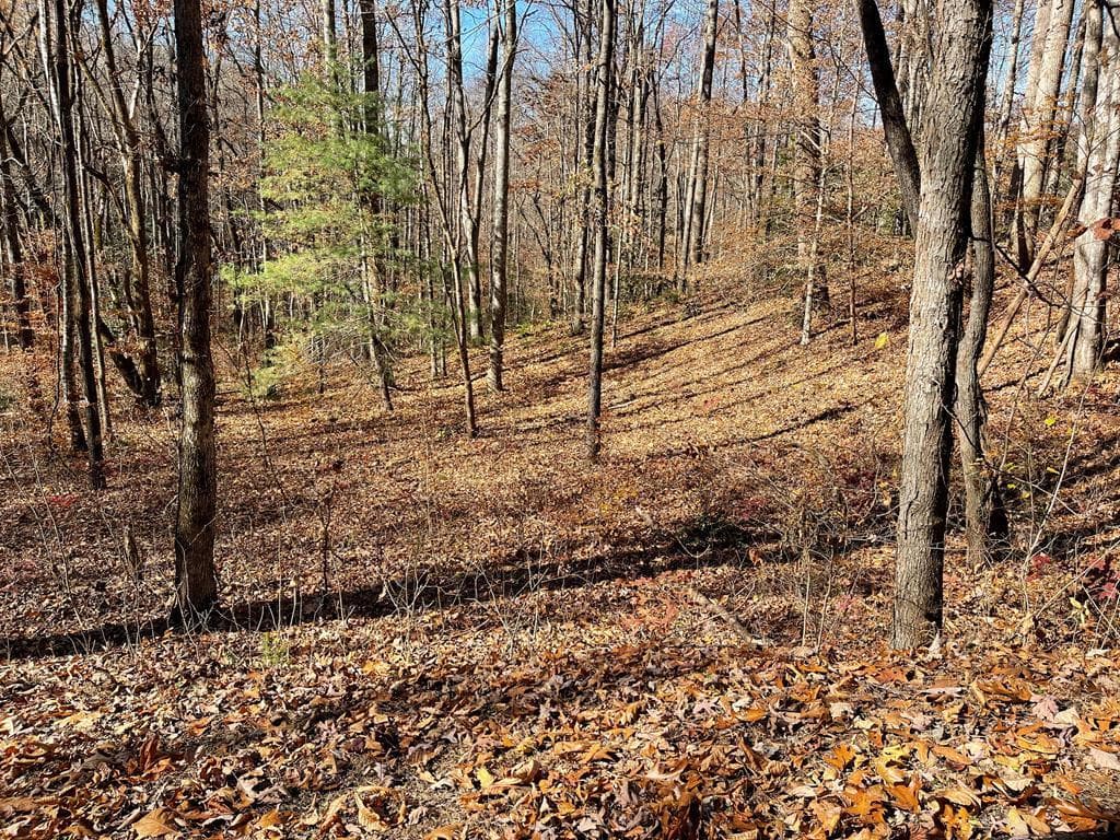 TBD Ashe Knob Drive, Hayesville NC 28904 - Primary photo