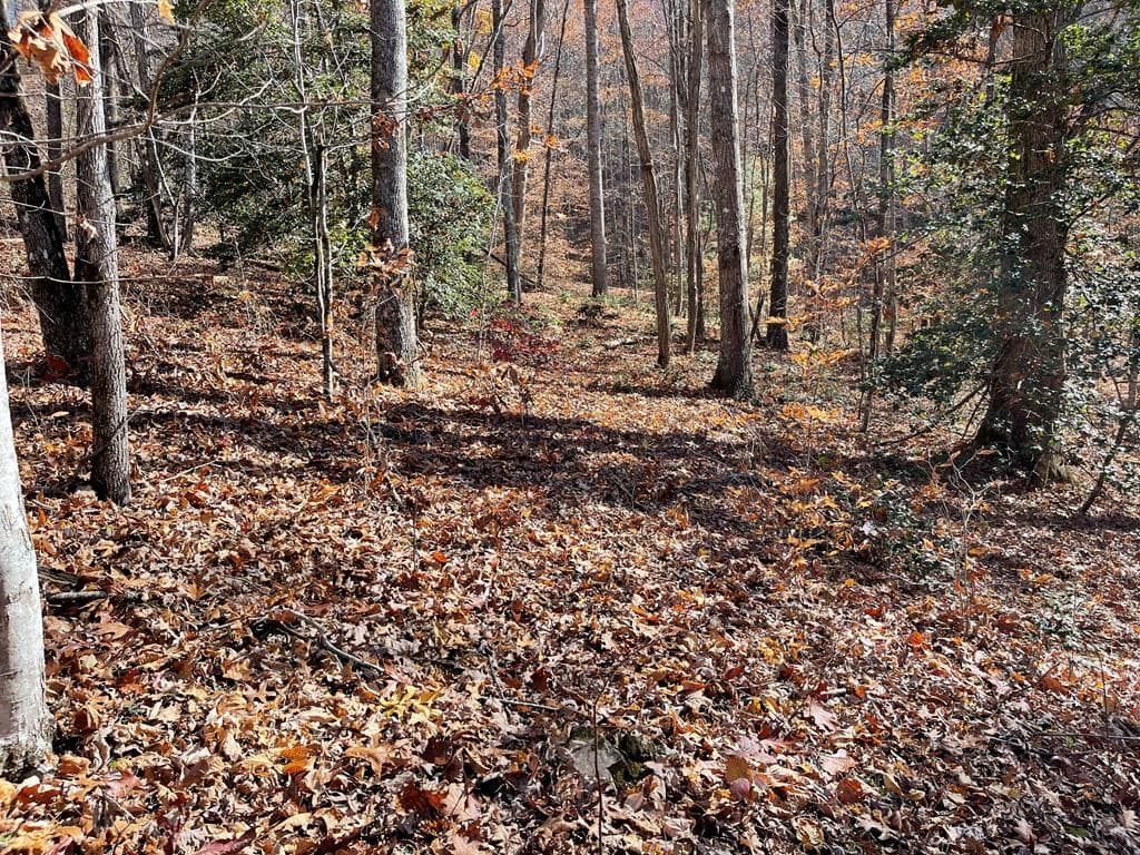 TBD Ashe Knob Drive, Hayesville NC 28904 - Photo