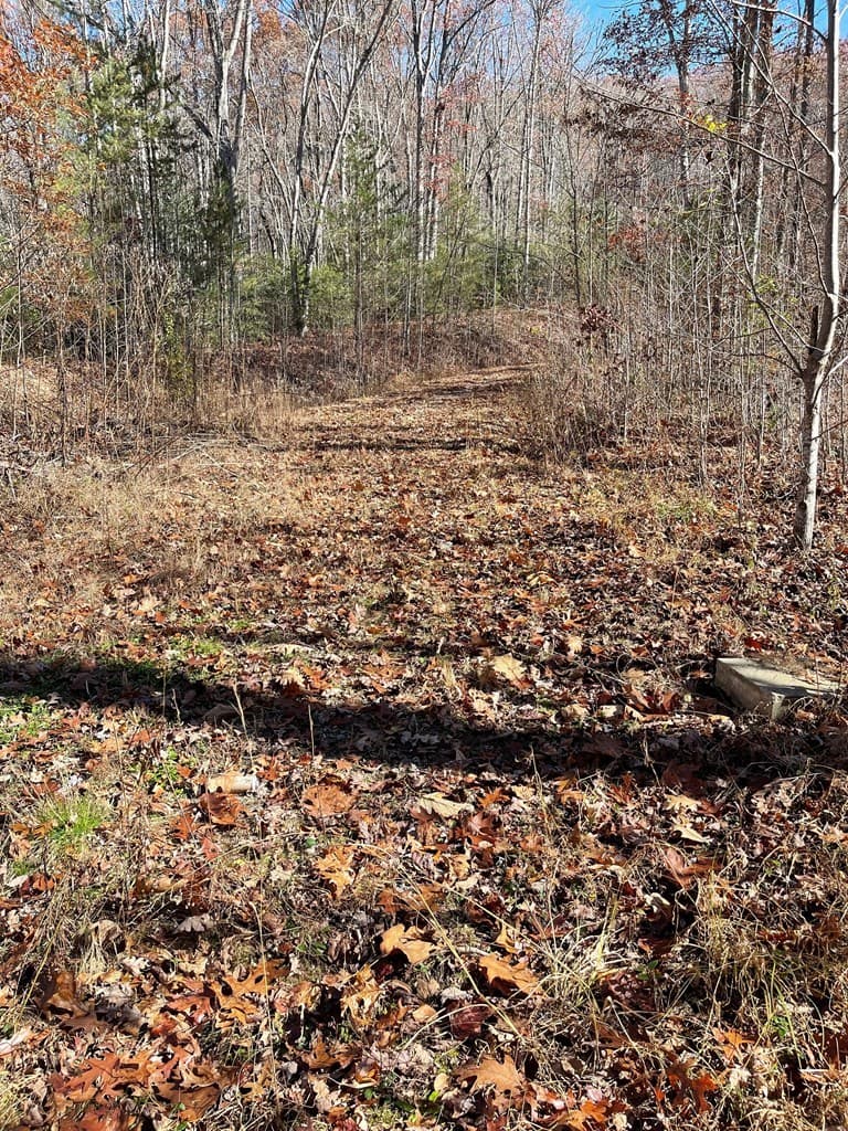 TBD Ashe Knob Drive, Hayesville NC 28904 - Photo
