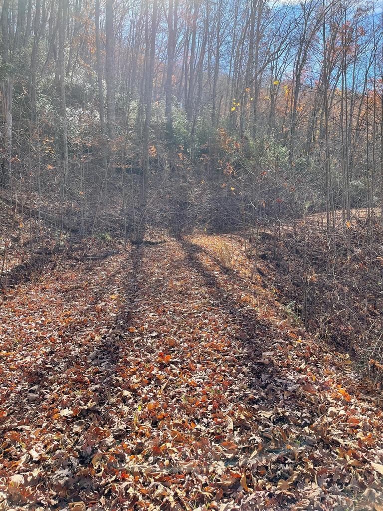 TBD Ashe Branch View, Hayesville NC 28904 - Photo