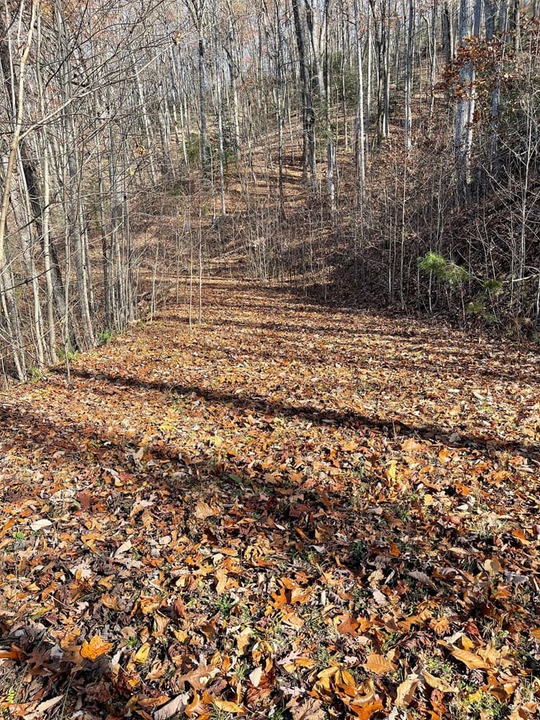TBD Ashe Branch View, Hayesville NC 28904 - Photo
