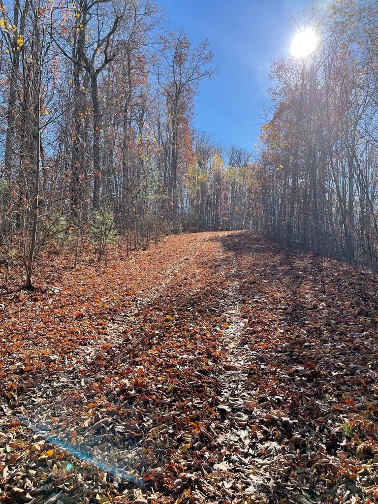 TBD Ashe Branch View, Hayesville NC 28904 - Photo