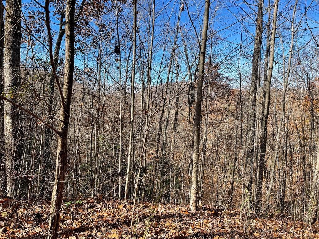 TBD Ashe Branch View, Hayesville NC 28904 - Primary photo