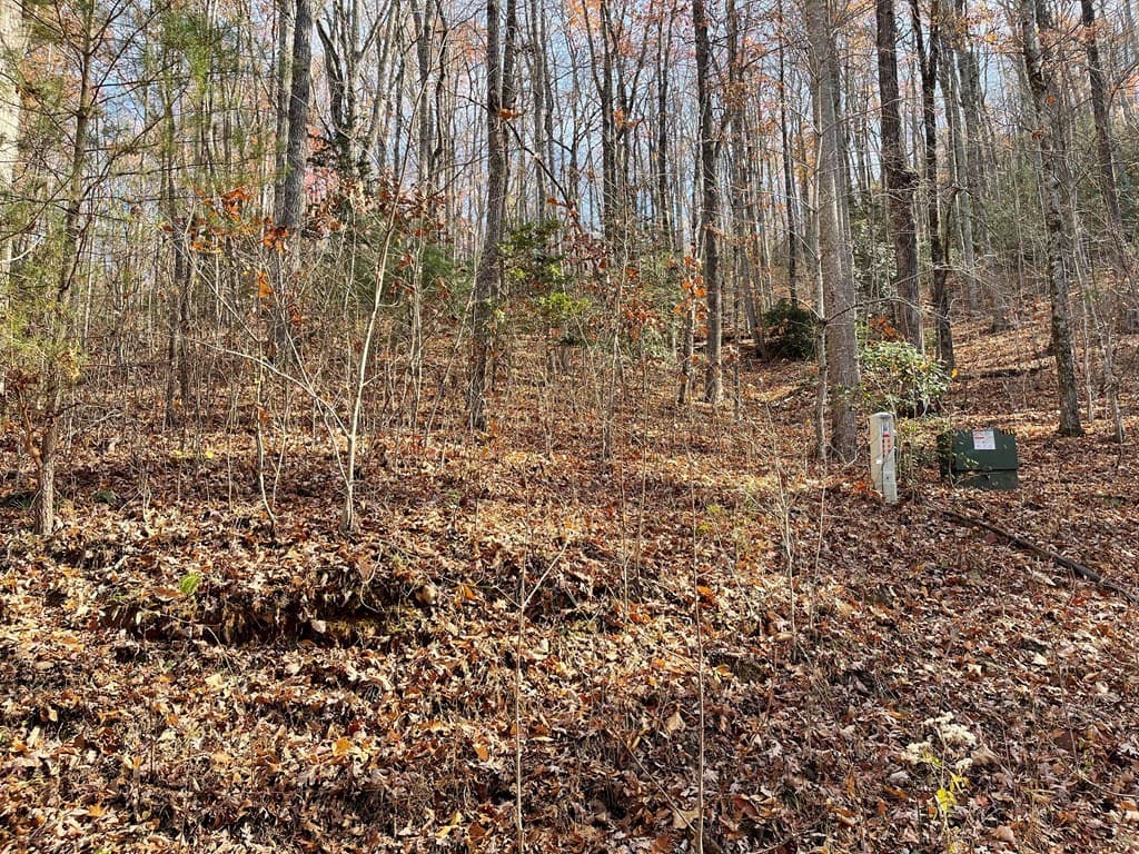 TBD Ashe Branch View, Hayesville NC 28904 - Photo