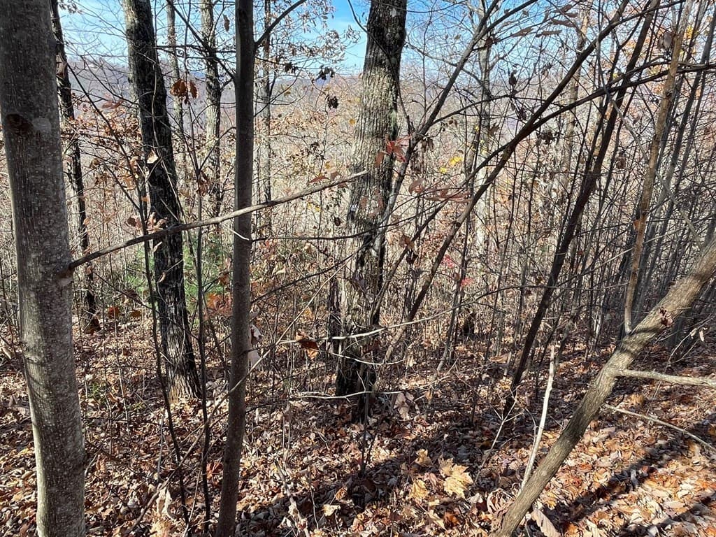 TBD Ashe Branch View, Hayesville NC 28904 - Photo