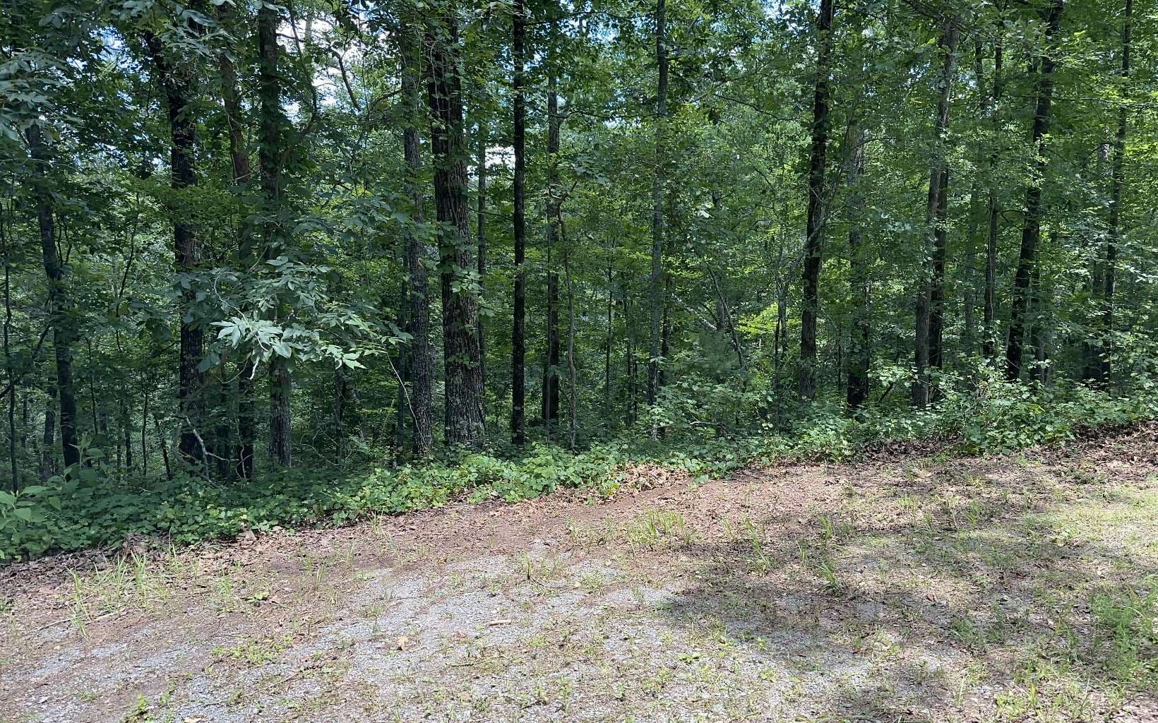 LT 1719 Rebekah Ridge Road, Talking Rock GA 30175 - Photo