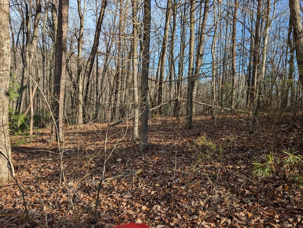 Lot 20 Wilderness Creek Way, Murphy NC 28906 - Photo