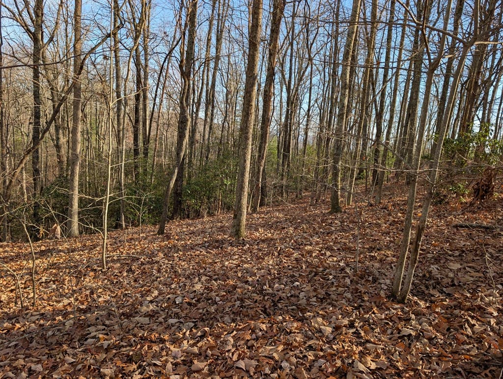 Lot 20 Wilderness Creek Way, Murphy NC 28906 - Photo