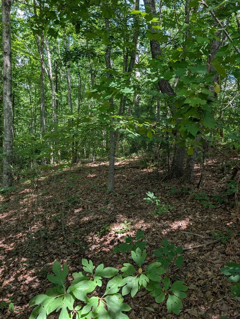 Lot 20 Wilderness Creek Way, Murphy NC 28906 - Photo