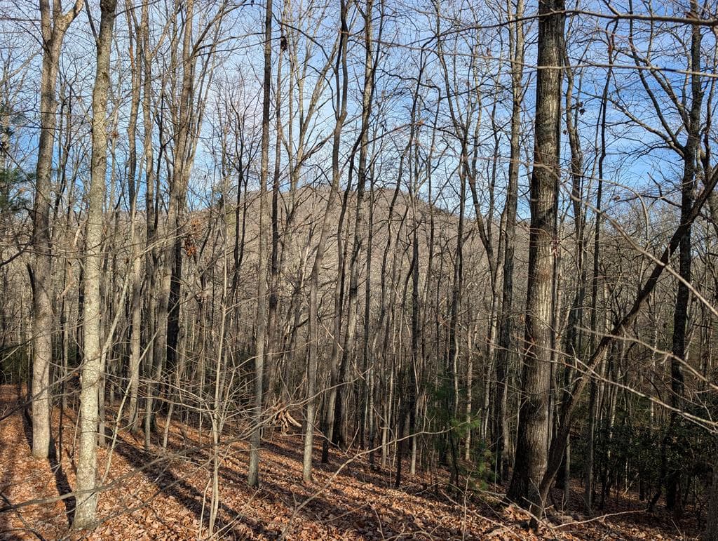 Lot 20 Wilderness Creek Way, Murphy NC 28906 - Primary photo