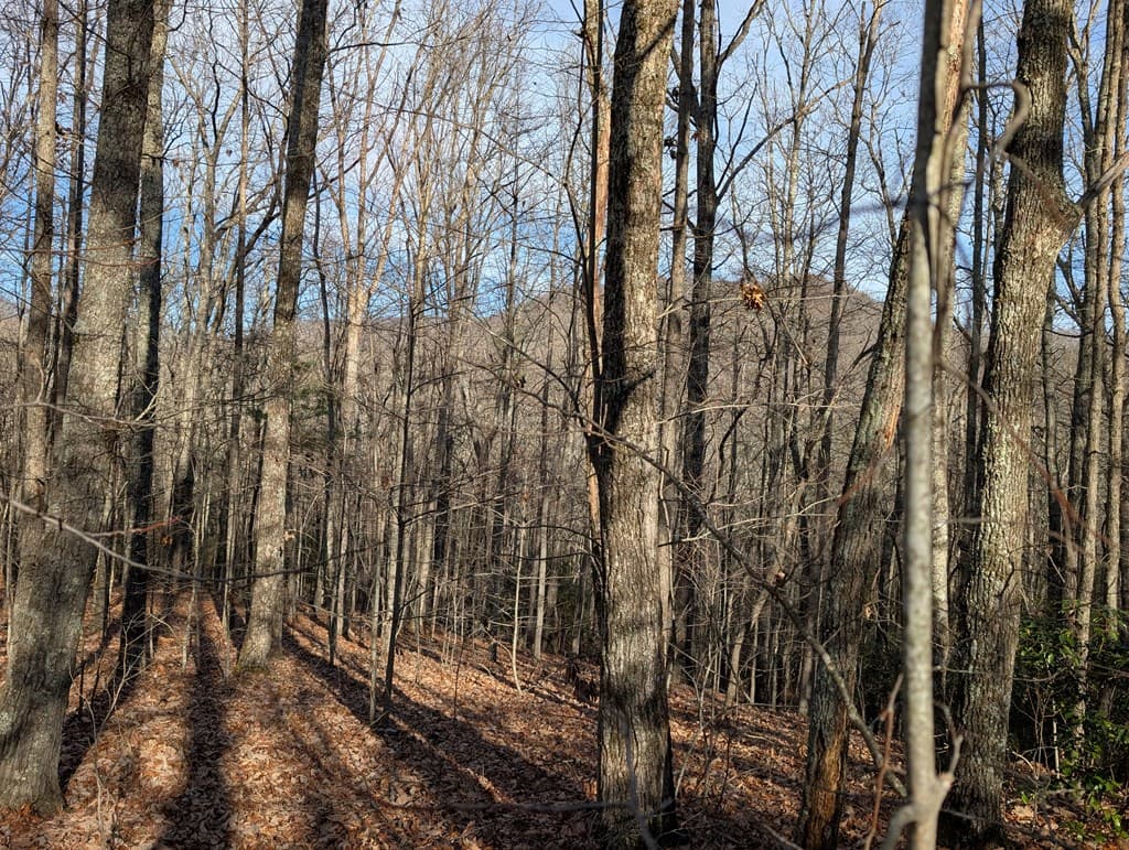 Lot 20 Wilderness Creek Way, Murphy NC 28906 - Photo