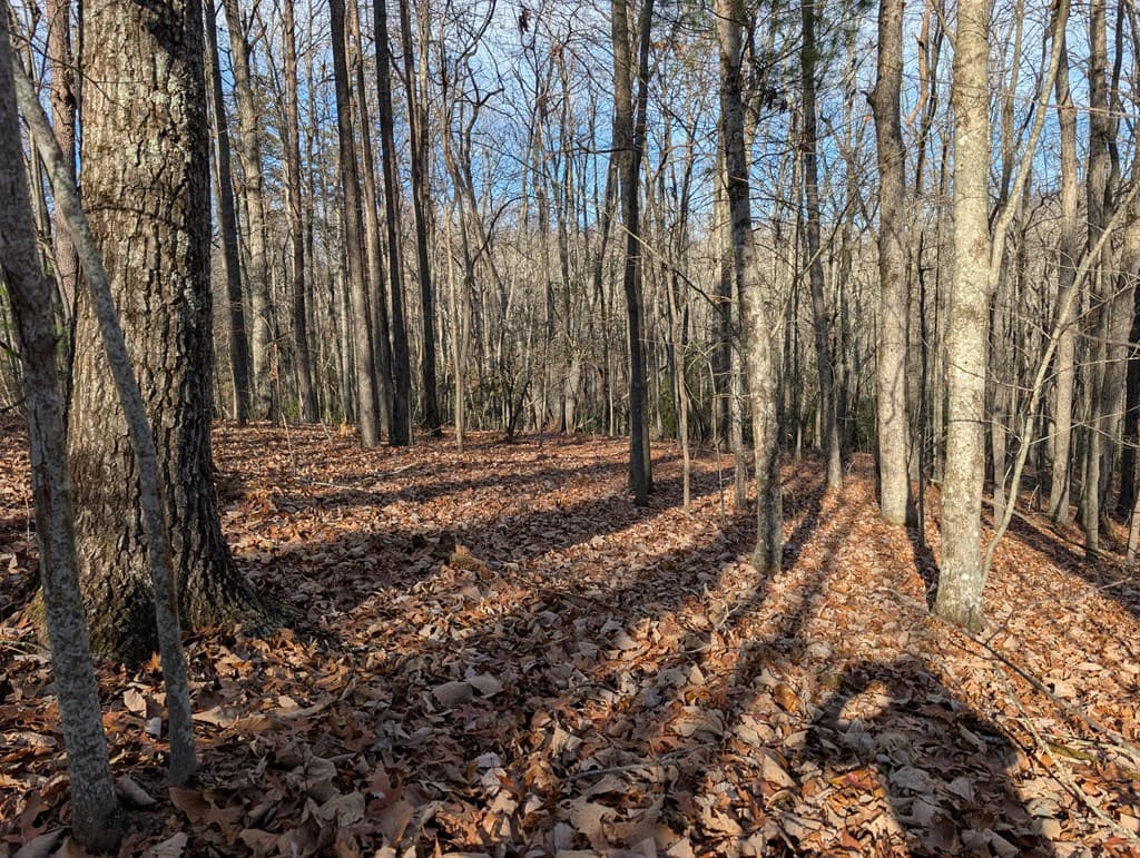 Lot 20 Wilderness Creek Way, Murphy NC 28906 - Photo
