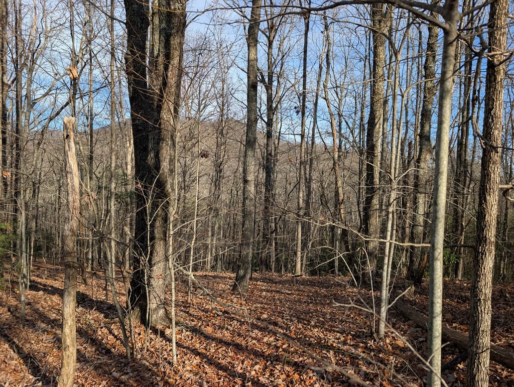 Lot 20 Wilderness Creek Way, Murphy NC 28906 - Photo