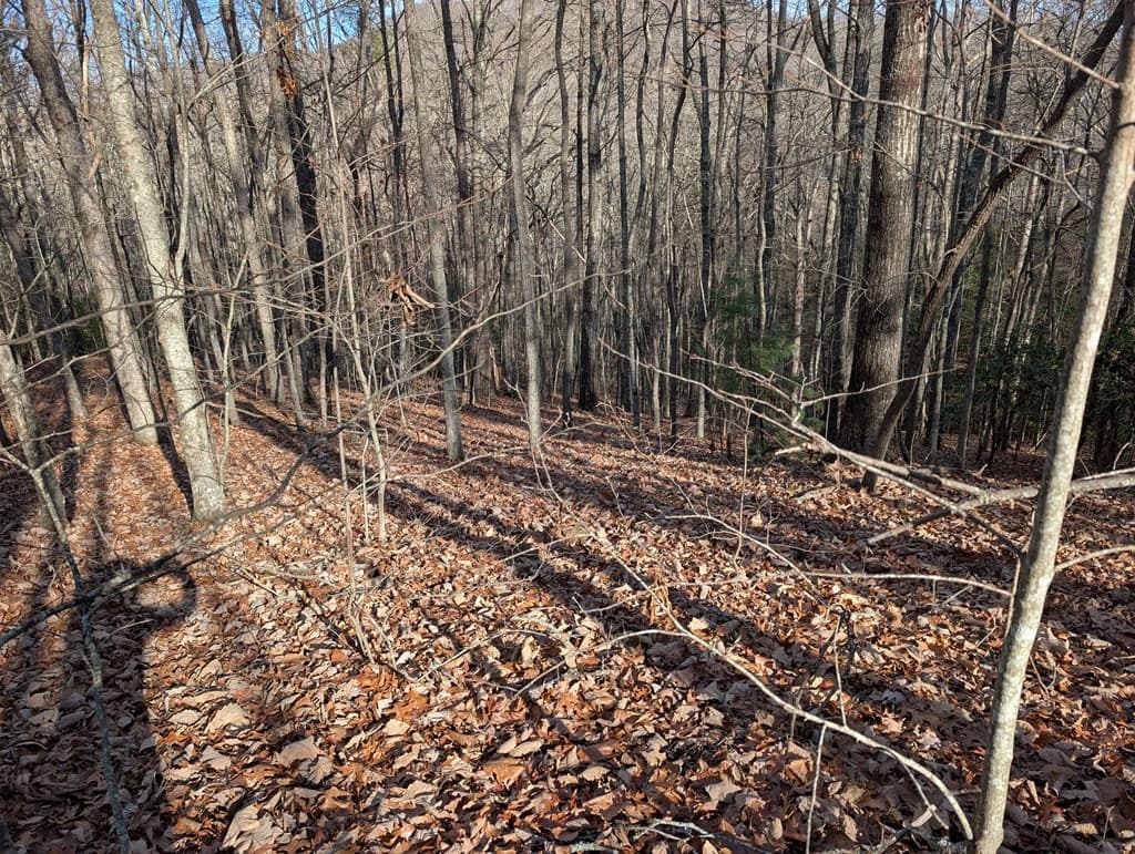 Lot 20 Wilderness Creek Way, Murphy NC 28906 - Photo