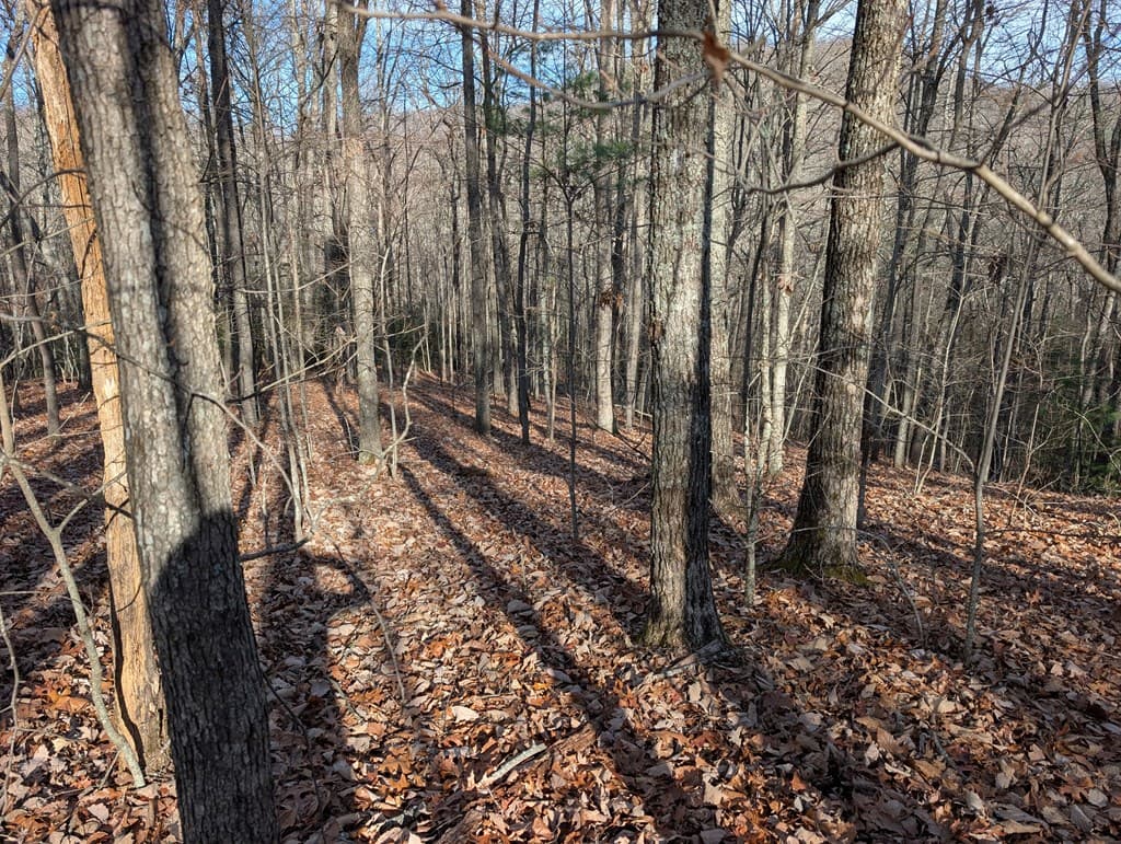 Lot 20 Wilderness Creek Way, Murphy NC 28906 - Photo