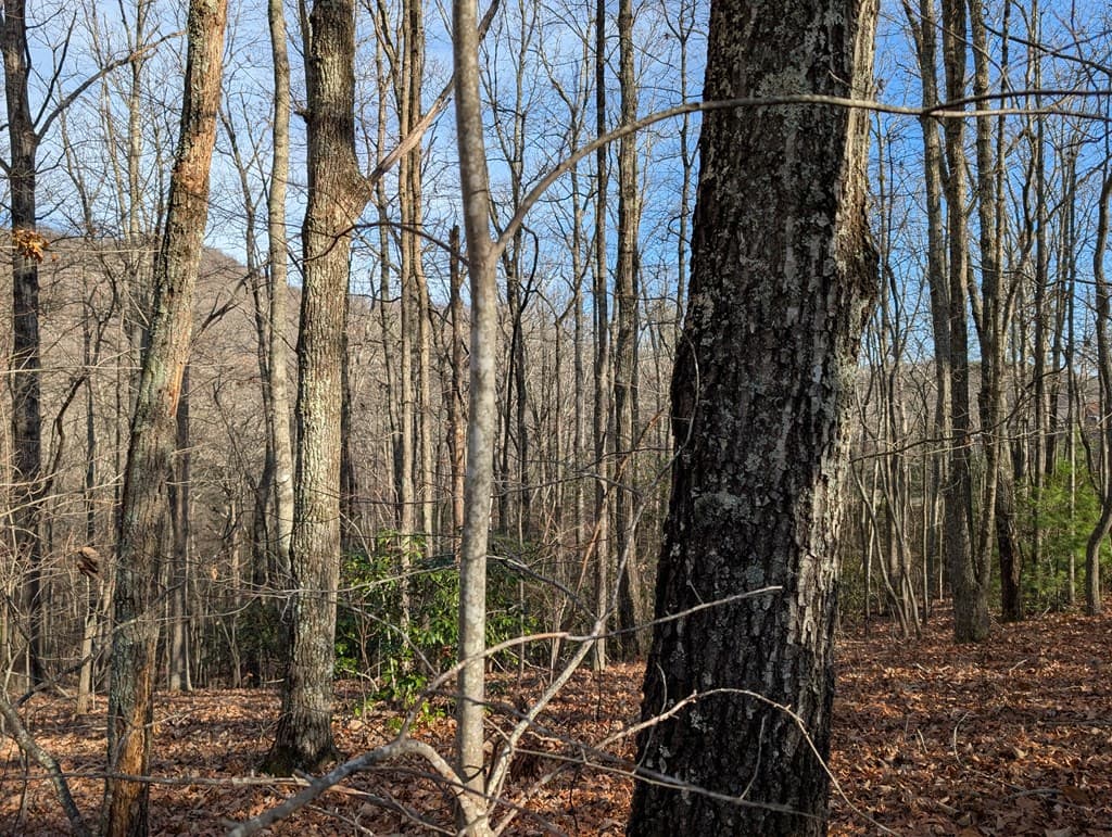 Lot 20 Wilderness Creek Way, Murphy NC 28906 - Photo
