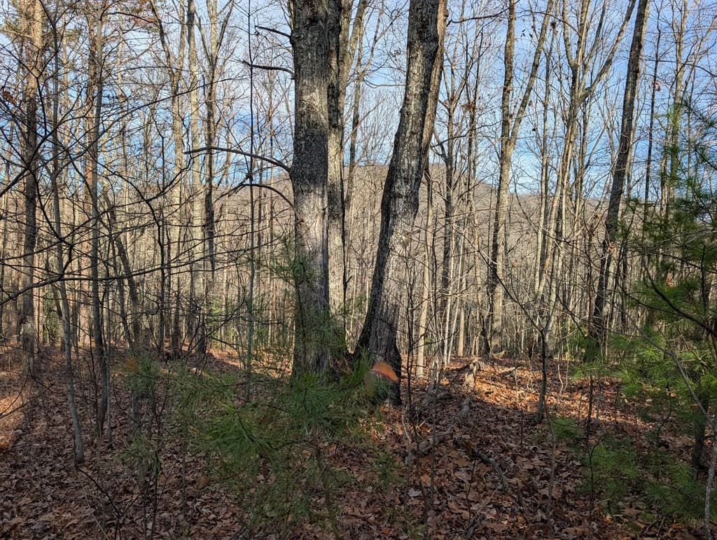 Lot 20 Wilderness Creek Way, Murphy NC 28906 - Photo