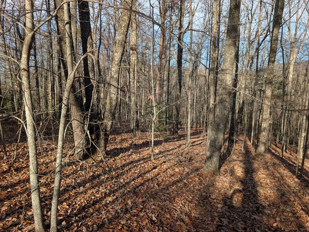 Lot 20 Wilderness Creek Way, Murphy NC 28906 - Photo