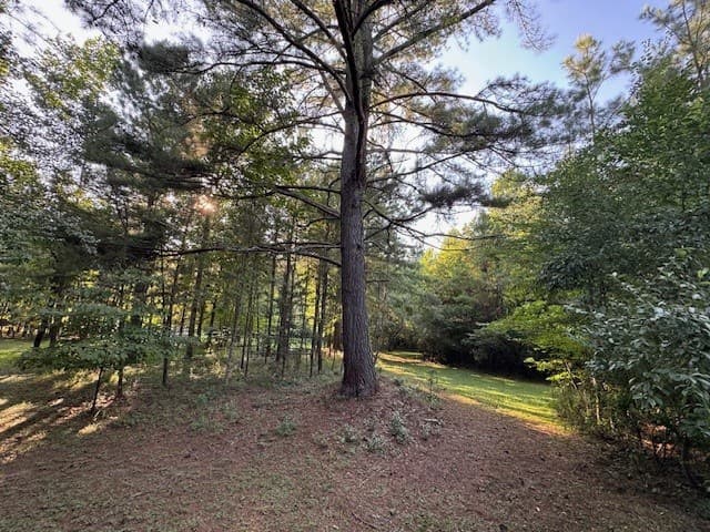 1.18 Newberry Drive, Mineral Bluff GA 30559 - Photo