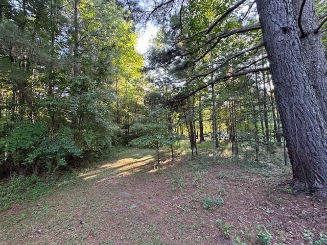1.18 Newberry Drive, Mineral Bluff GA 30559 - Photo