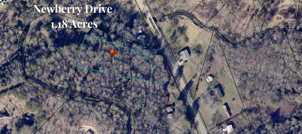 1.18 Newberry Drive, Mineral Bluff GA 30559 - Photo