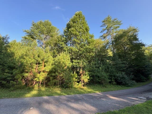 LT 1 Newberry Drive, Mineral Bluff GA 30559 - Photo