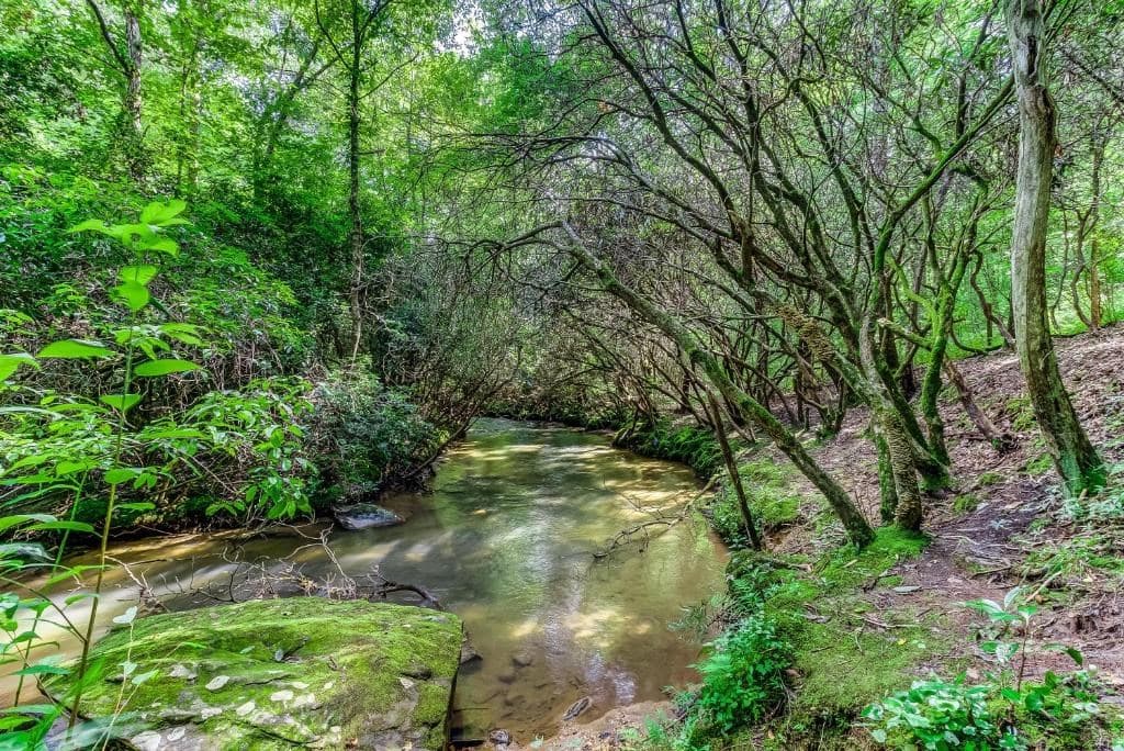 LT 1 Newberry Drive, Mineral Bluff GA 30559 - Photo