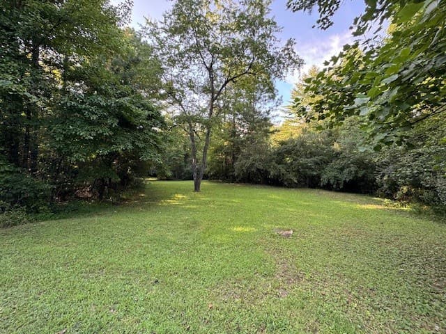 LT 1 Newberry Drive, Mineral Bluff GA 30559 - Photo