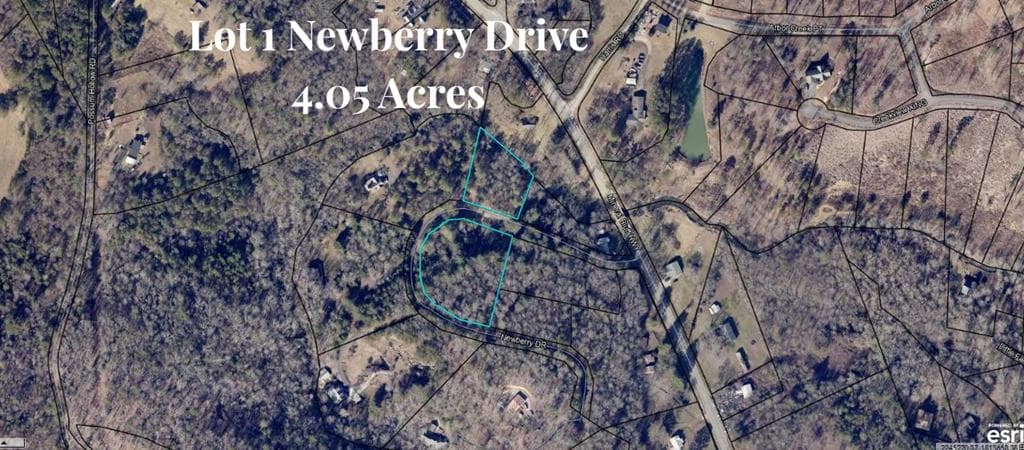 LT 1 Newberry Drive, Mineral Bluff GA 30559 - Photo
