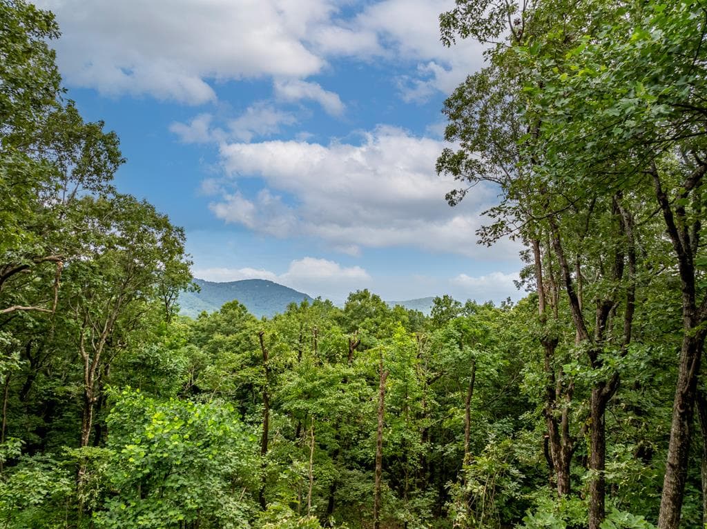 31 High Cliff Road, Jasper GA 30143 - Photo