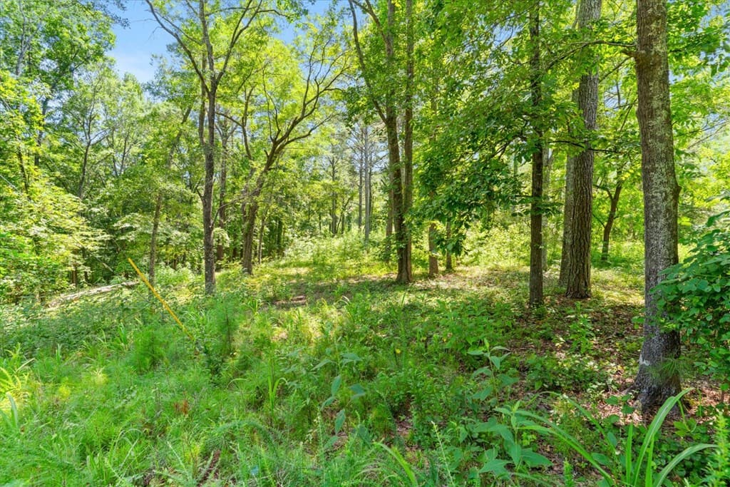 00 Sun Mountain Road, Chatsworth GA 30705 - Photo