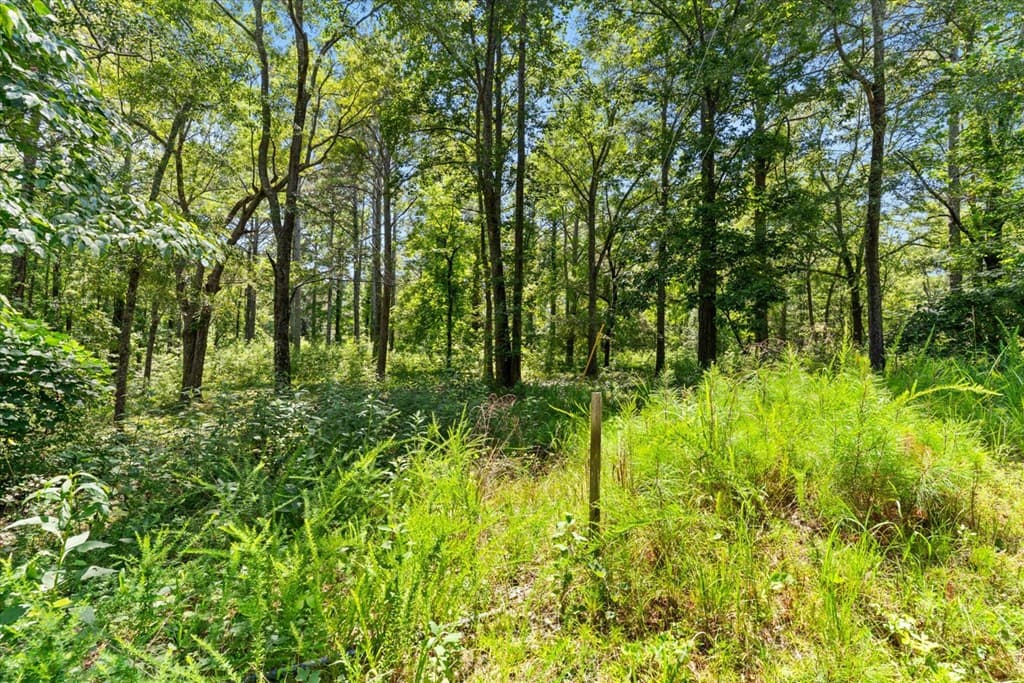 00 Sun Mountain Road, Chatsworth GA 30705 - Photo