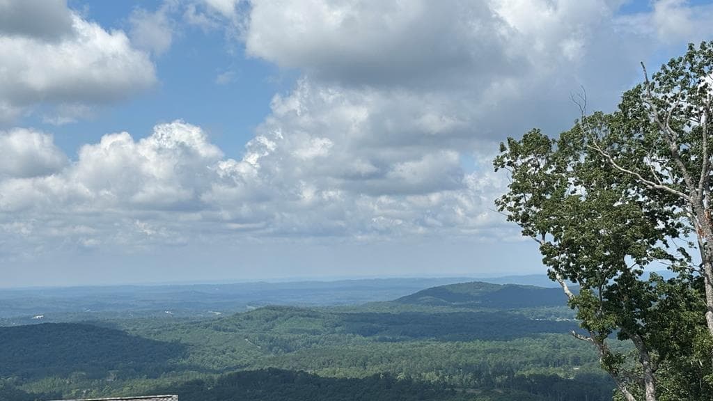 260 Running Bear Lane, Ellijay GA 30536 - Photo