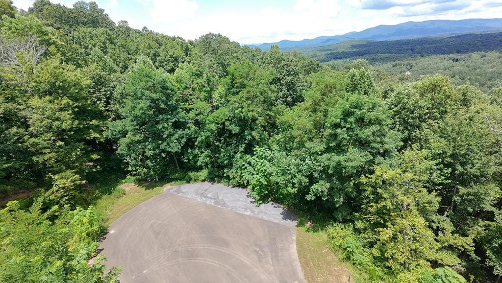260 Running Bear Lane, Ellijay GA 30536 - Photo