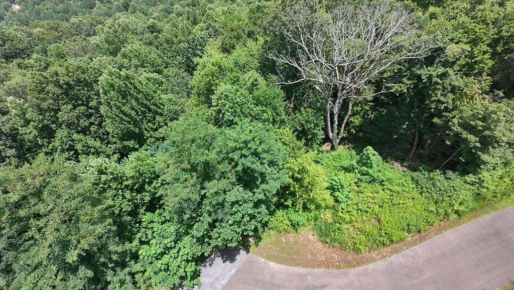 260 Running Bear Lane, Ellijay GA 30536 - Photo